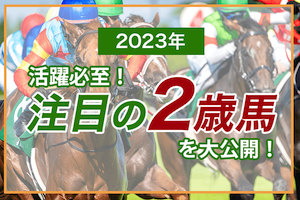 2歳馬ランキングのアイキャッチ